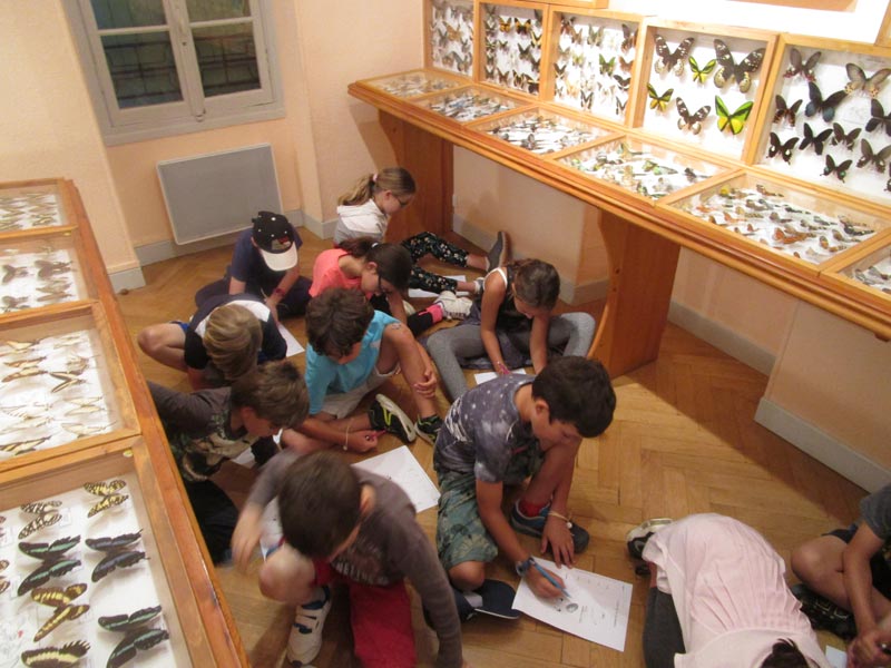 Ecole Valbonne Au Chateau (4)