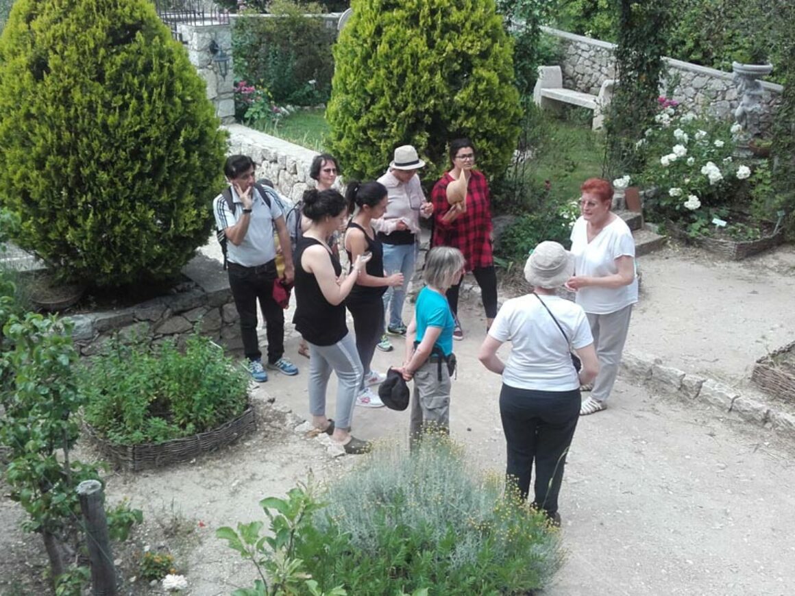 Visite Jardin Medieval (2)