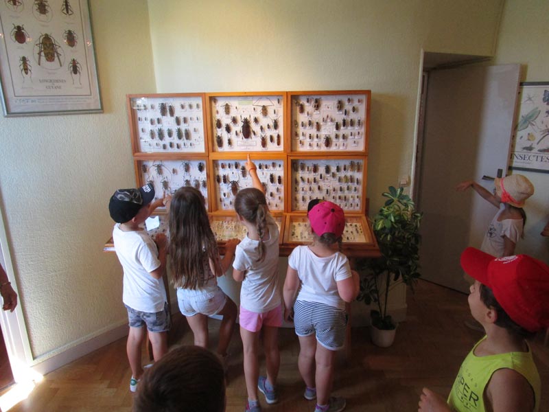 Visite Scolaire Chateau 3 (4)