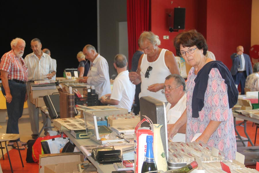 Salon Collectionneurs (5)