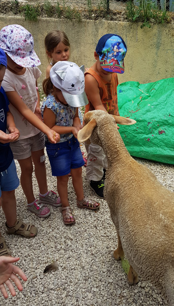 Vacances Ete2018 Petits (19)