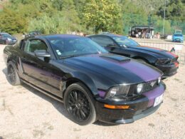 Rassemblement Ford©MNiel (9)