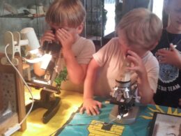 Journees Patrimoine 2018 Chateau (3)