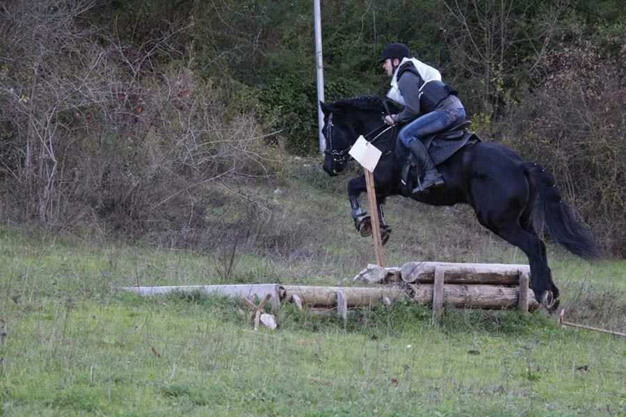 Derby Cross 09 12 18 (6)