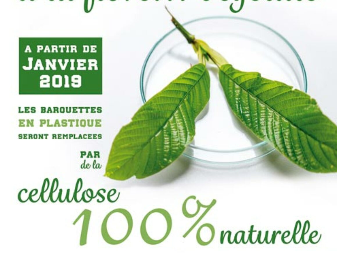 Sivom Contenants Cellulose
