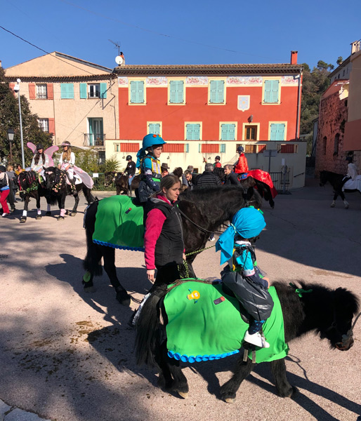 Carnaval Defile Equestre©V Mantz (1)