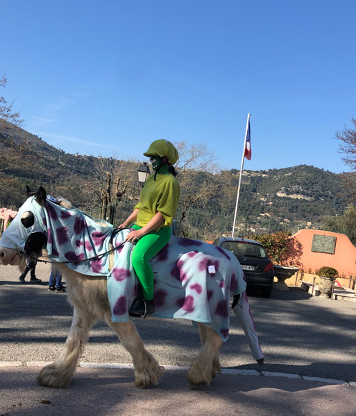 Carnaval Defile Equestre©V Mantz (10)