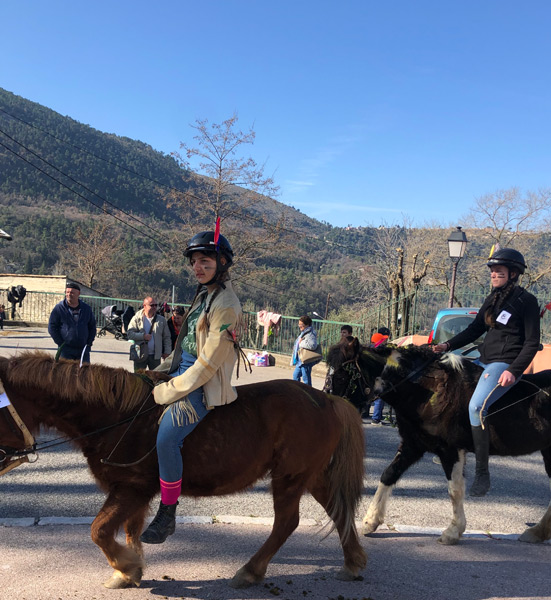 Carnaval Defile Equestre©V Mantz (11)