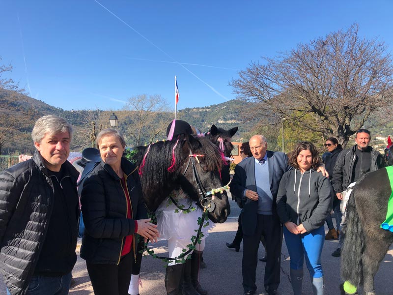 Carnaval Defile Equestre©V Mantz (19)