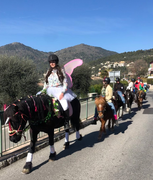 Carnaval Defile Equestre©V Mantz (3)