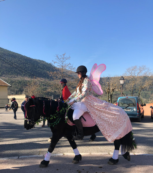 Carnaval Defile Equestre©V Mantz (9)