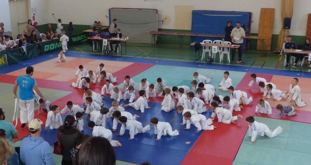 Tournoi Judo 2019©PBrouard (12)