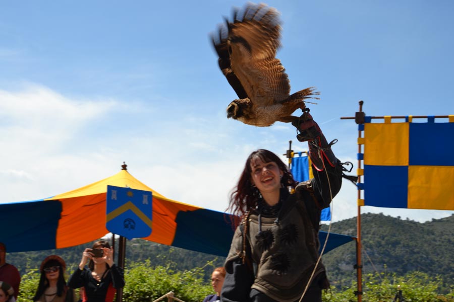 Fete Medievale Tl 2019©cultTL (204)