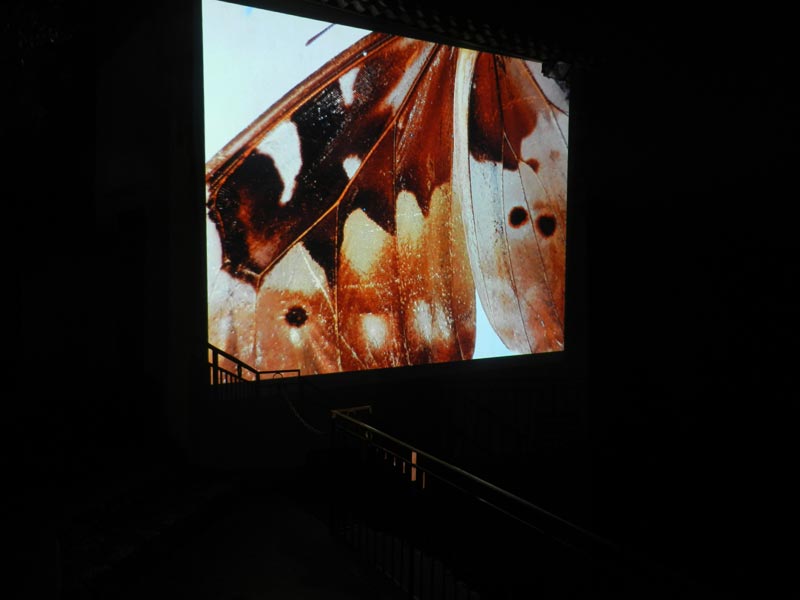 Nuit Musees 2019 (16)