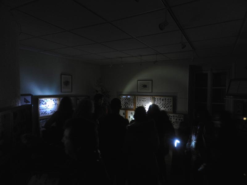 Nuit Musees 2019 (17)