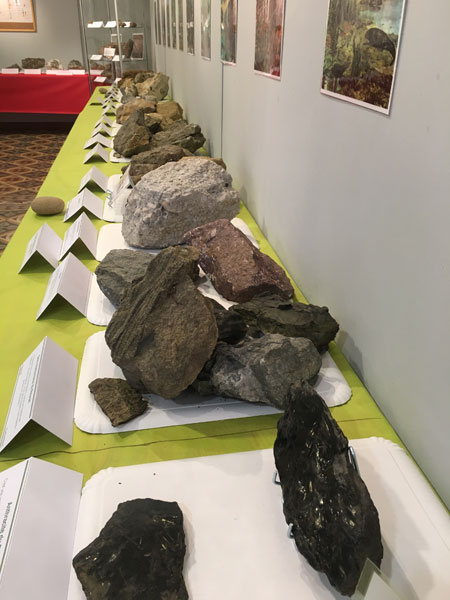 Visite Expo Geologie (16)