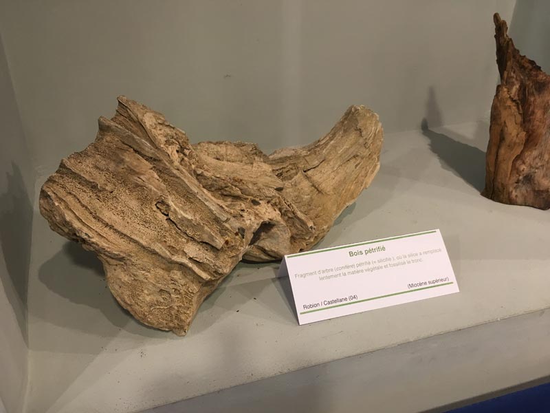 Visite Expo Geologie (17)