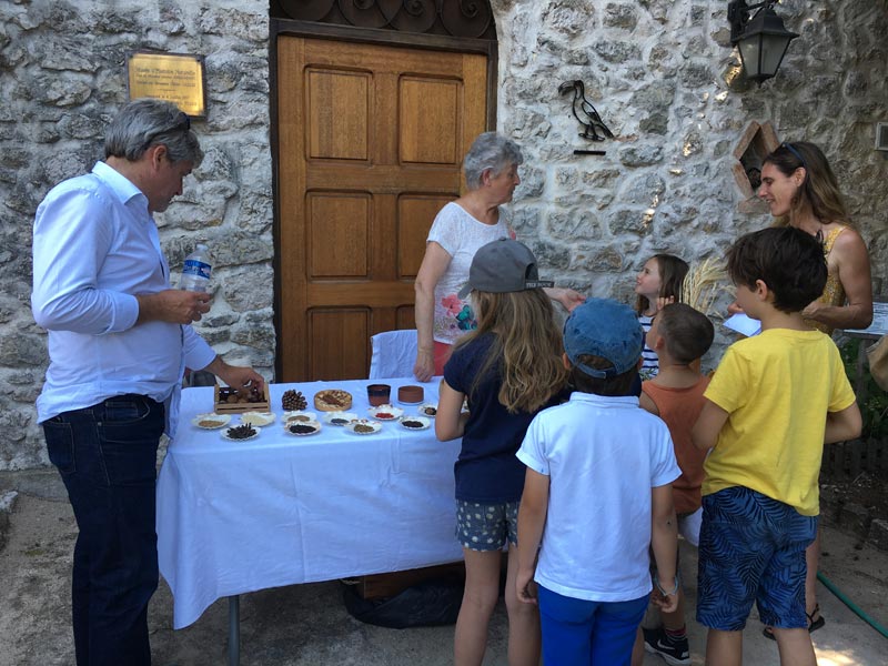 Festin Limaces Dimanche Chateau (17)
