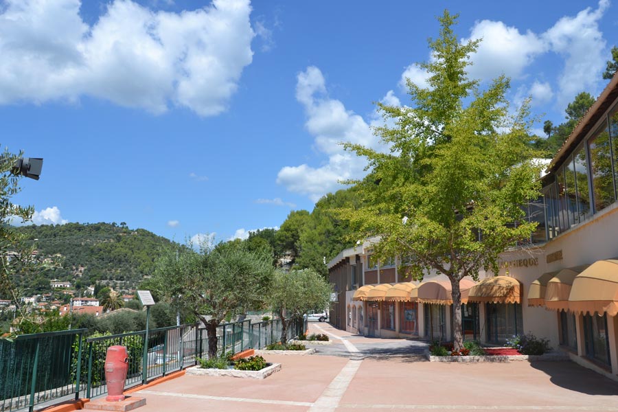 Embellissement Mairie 2019 (25)
