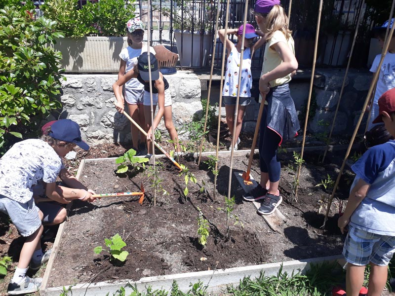 Potager Chateau (2)