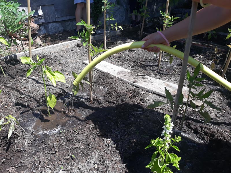 Potager Chateau (3)