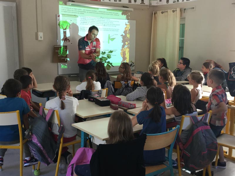 Animations Pedagogiques Lionel Ecole Des Moulins (1)