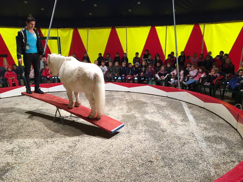 Centre Loisirs Toussaint2019 (7)