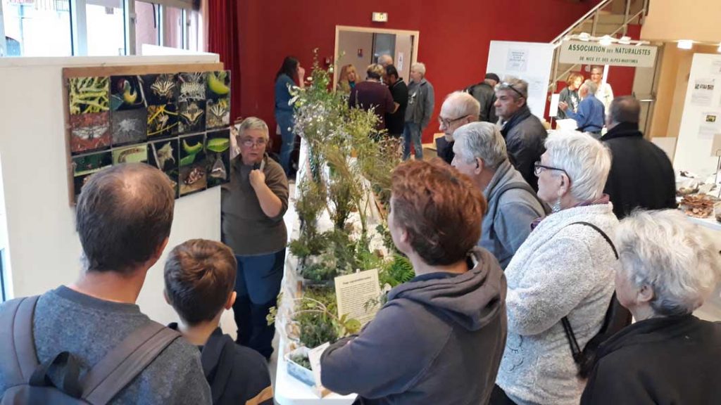 Salon Champignons 2019 (10)