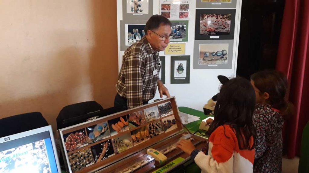 Salon Champignons 2019 (15)
