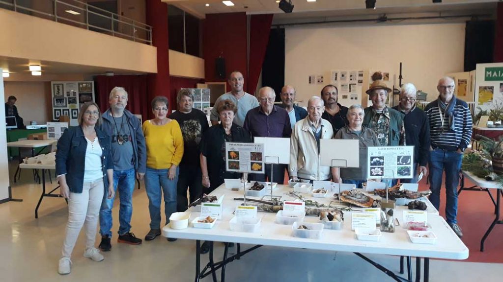 Salon Champignons 2019 (4)