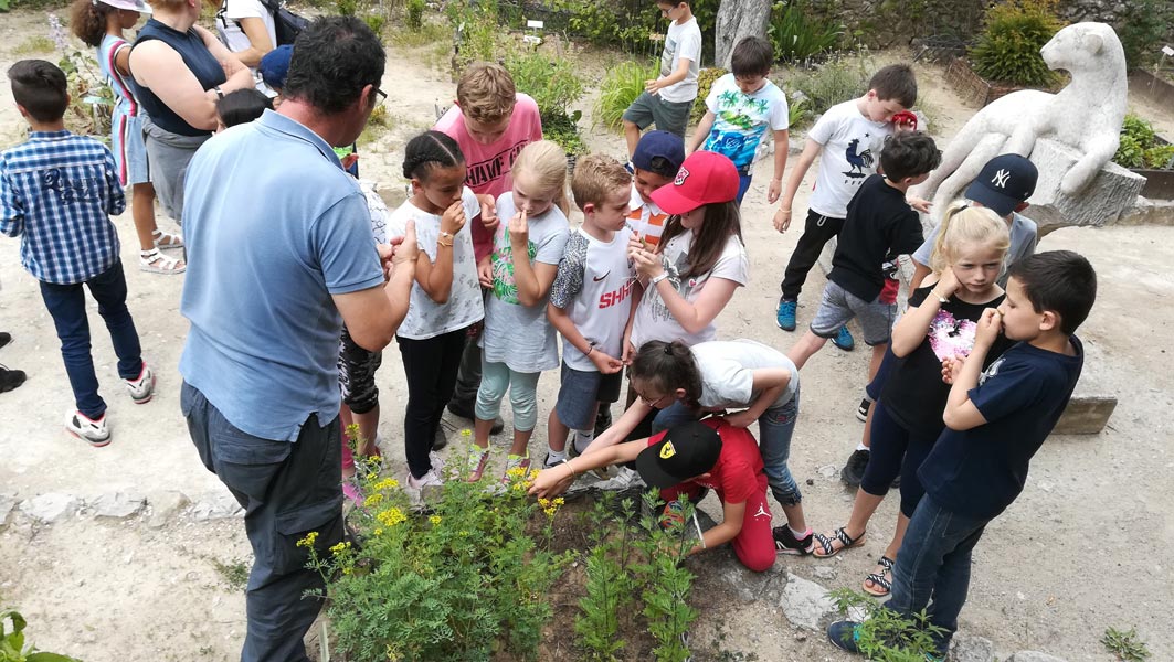 Bilan Chateau 2019 (7)