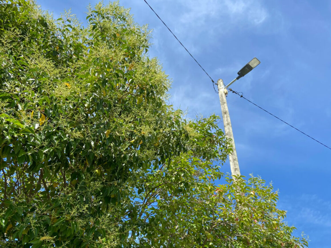 Lampadaires Bd(2)