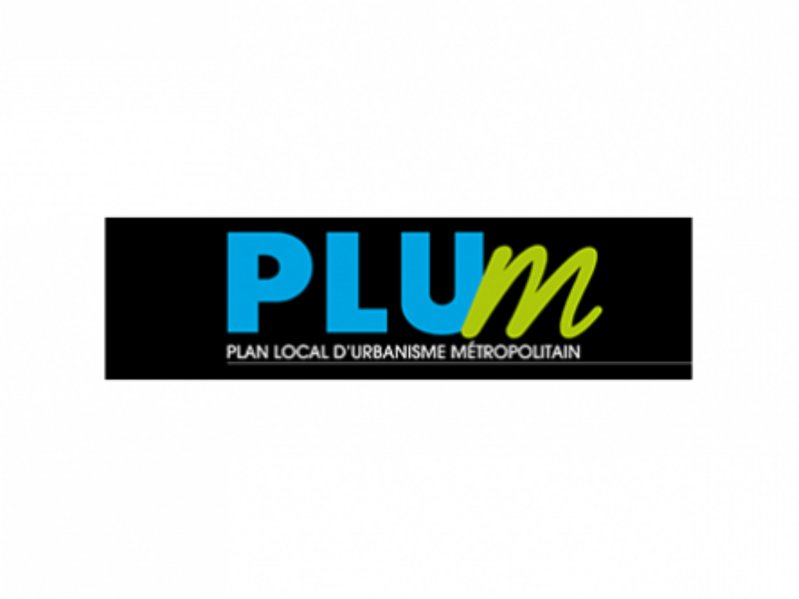 Plum Image 696x333