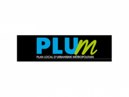 Plum Image 696x333