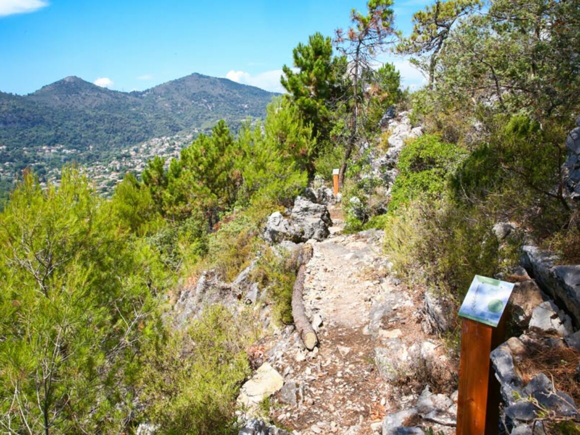 Sentier Decouverte@cecile Alfonsi (13)