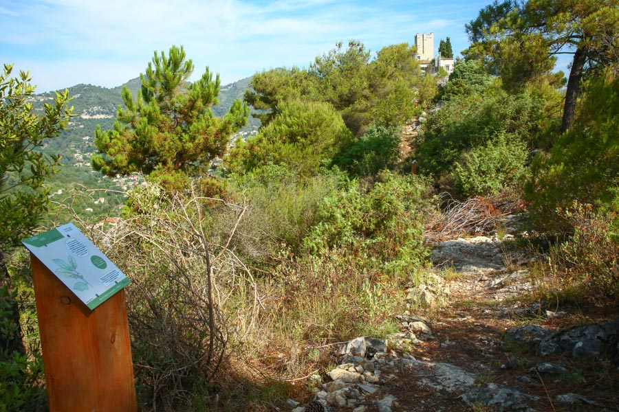 Sentier Decouverte@cecile Alfonsi (8)