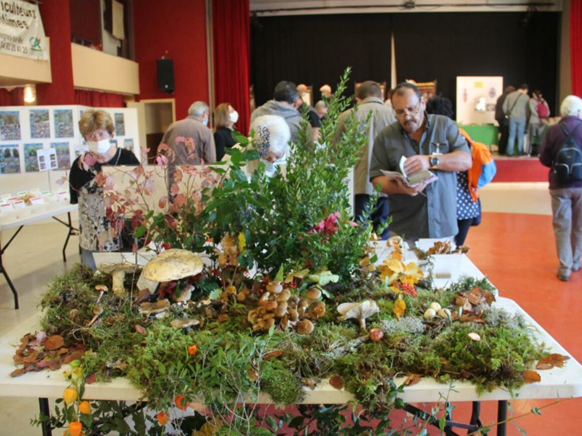 Salon Champignons 2021 (3)