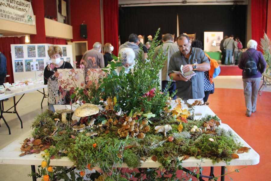 Salon Champignons 2021 (3)