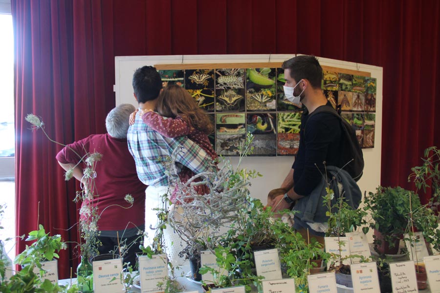 Salon Champignons 2021 (5)