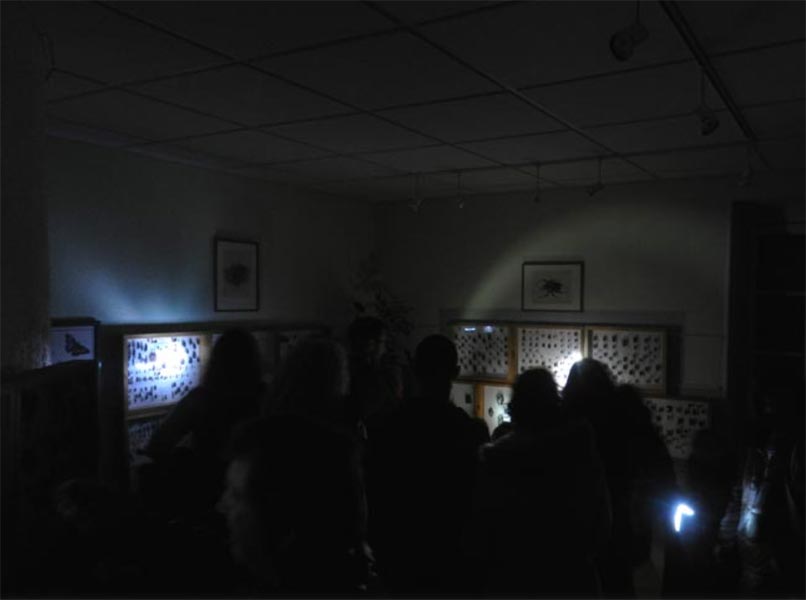 Animations Nuits Musees Chateau (1)