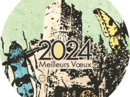 Carte Voeux