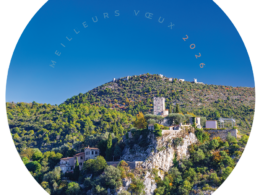 Carte Voeux TL 2026 Bd
