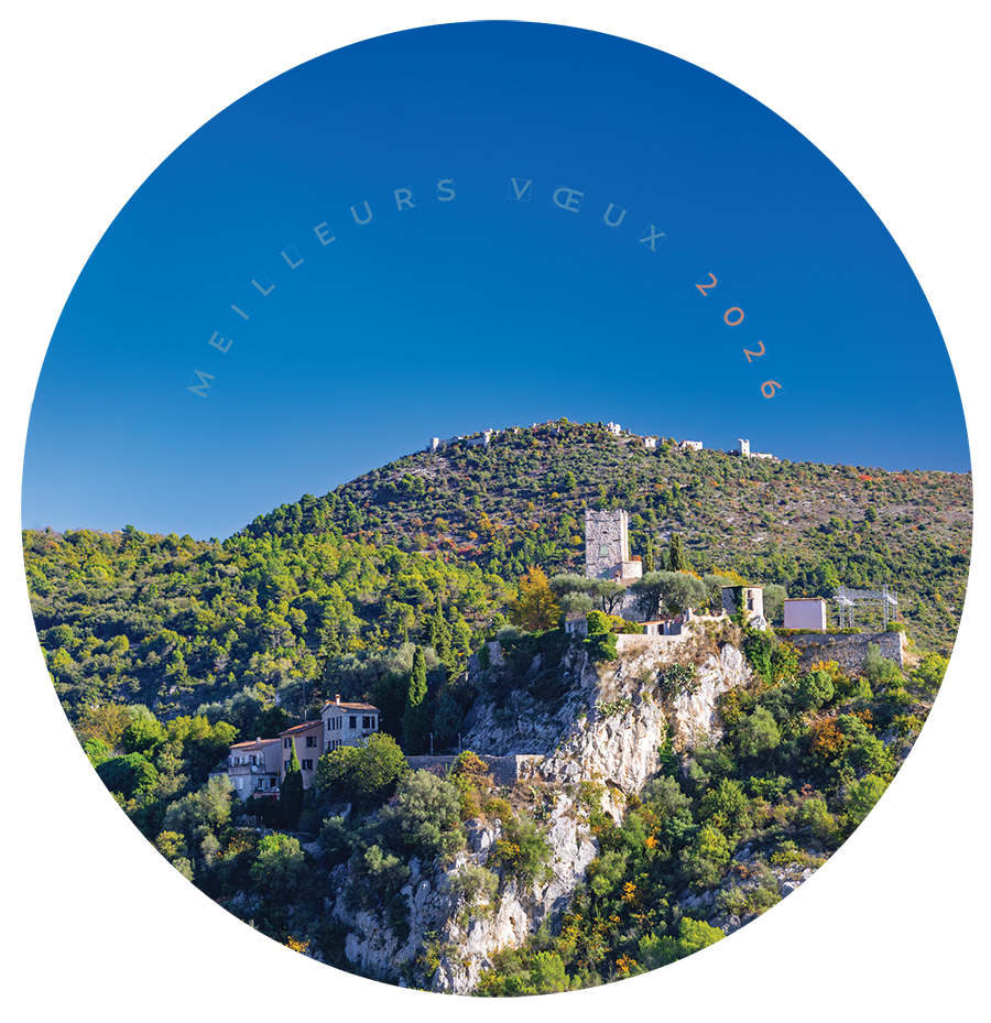 Carte Voeux TL 2026 Bd